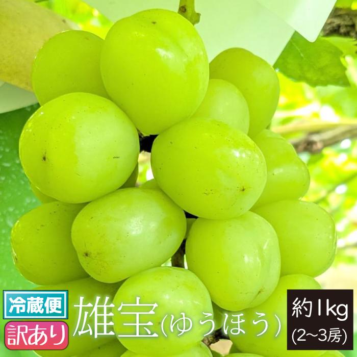 山形県 ぶどう 雄宝 訳あり 約1kg 2〜3房 朝日町 9月下旬〜順次発送 | ブランド登録なし