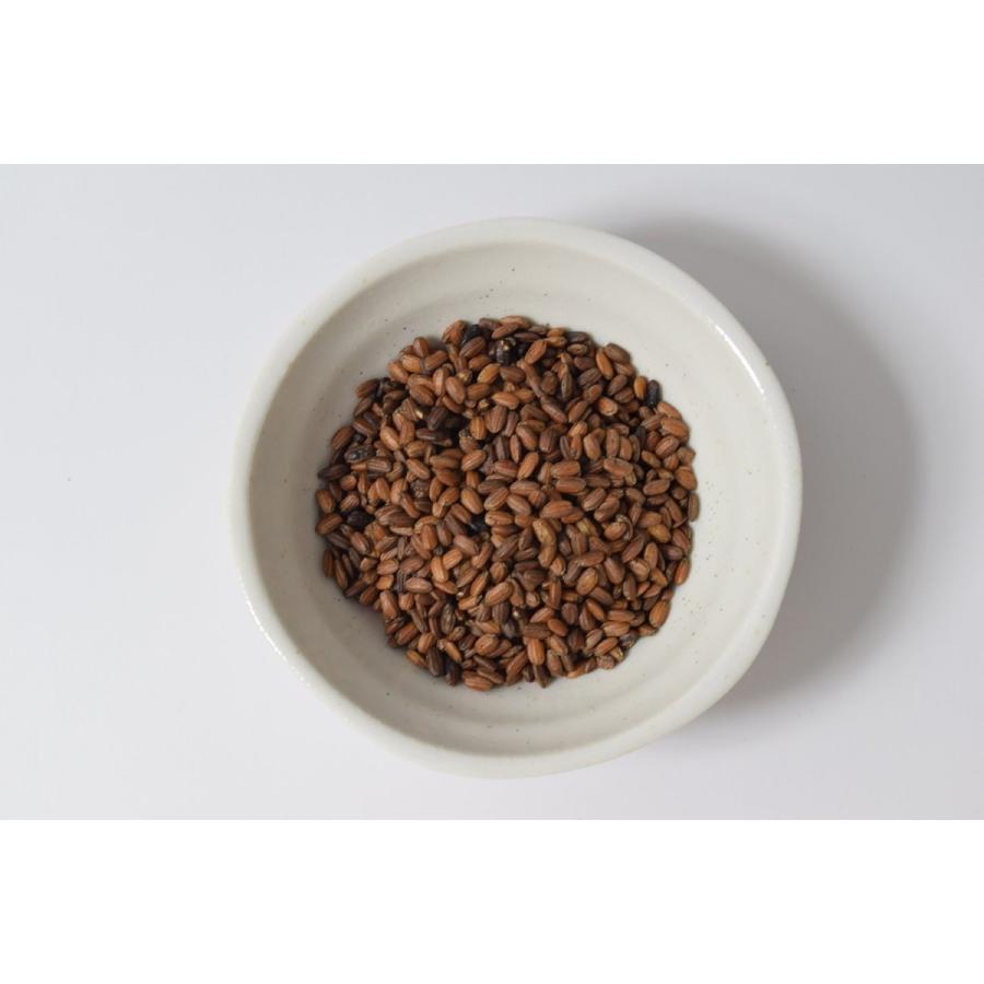 玄米茶 国産 ノンカフェイン 100g こだわり自家焙煎 全国一律