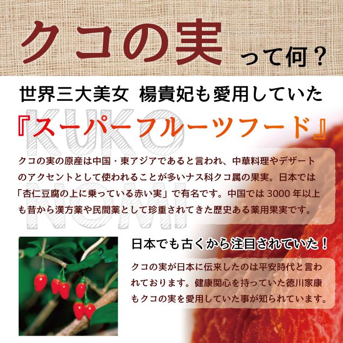 クコの実 クゴジベリー 1袋100ｇ 無添加 全国一律送料無料 中国：寧夏産 | ブランド登録なし | 02