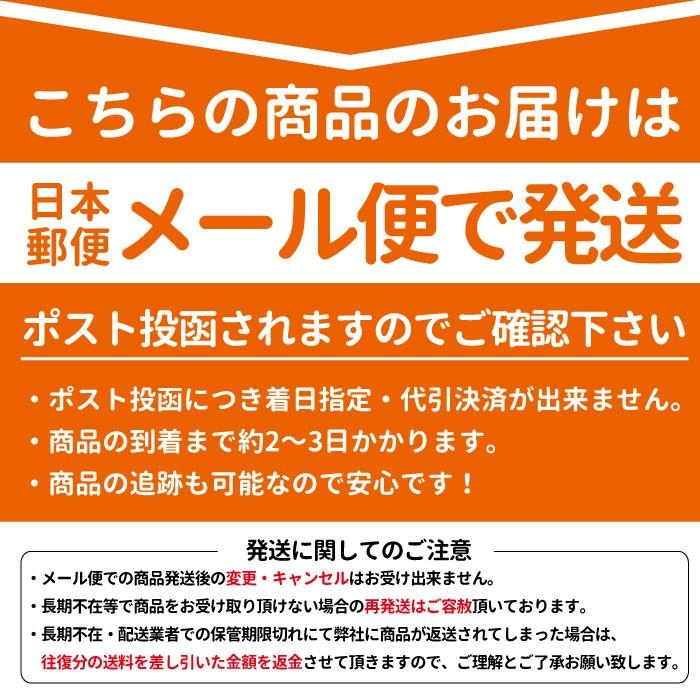 クコの実 ゴジベリー 3個セット(1袋100ｇ×3) 無添加 全国一律送料無料 中国：寧夏産 | ブランド登録なし | 08