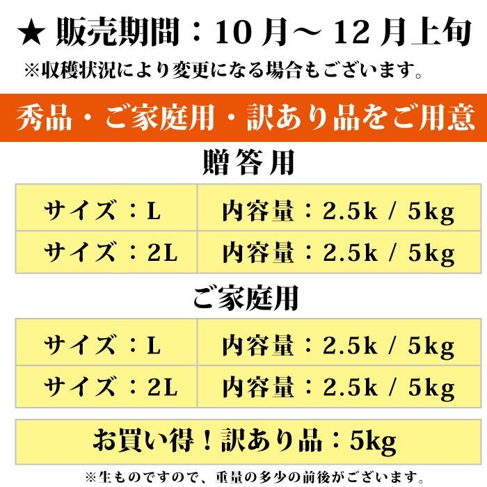 山形県 柿 平核無柿 家庭用 庄内産 2Lサイズ 5kg 10月中旬〜順次発送｜orgale｜06