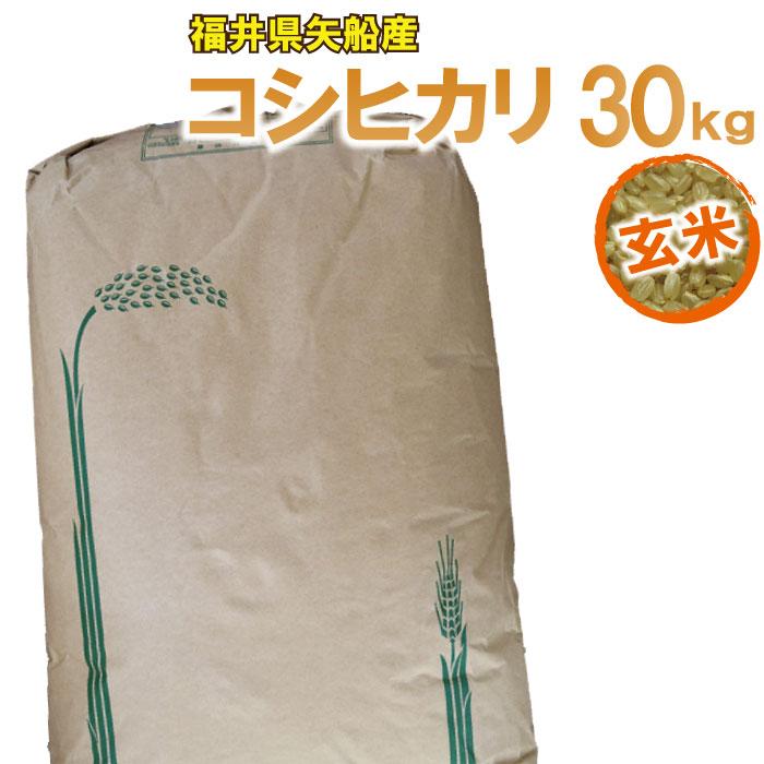 コシヒカリ】福井県産 30kg 令和6年
