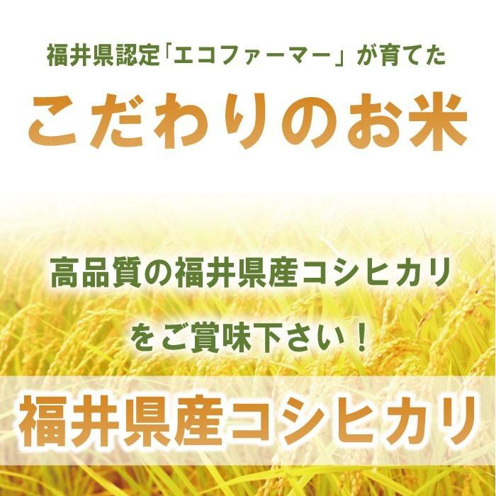 コシヒカリ 30kg 送料無料 玄米 令和7年度 福井県産 農薬節減栽培 福井