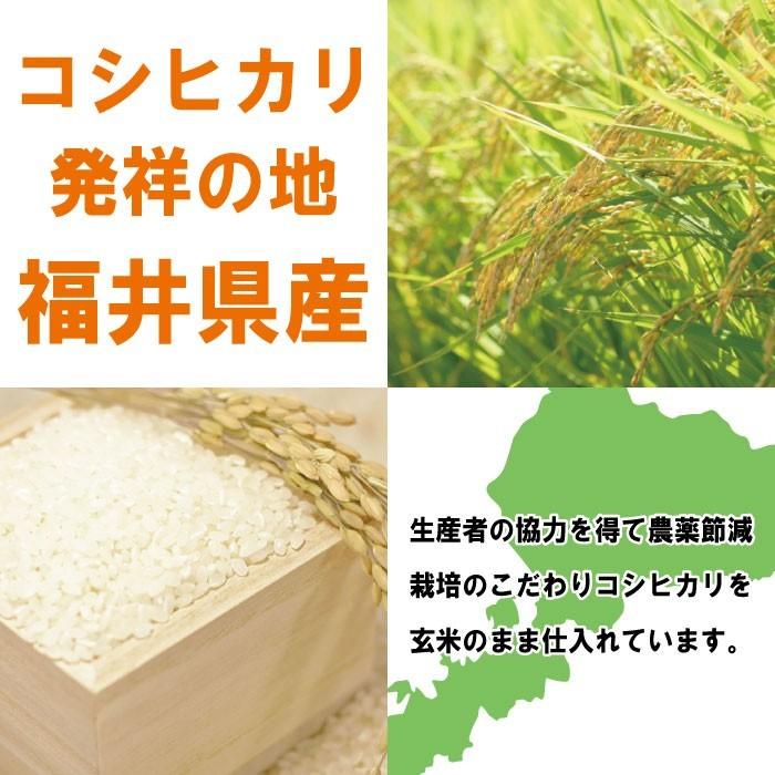 コシヒカリ 30kg 送料無料 玄米 令和7年度 福井県産 農薬節減栽培 福井