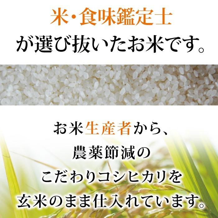 コシヒカリ 30kg 送料無料 玄米 令和7年度 福井県産 農薬節減栽培 福井
