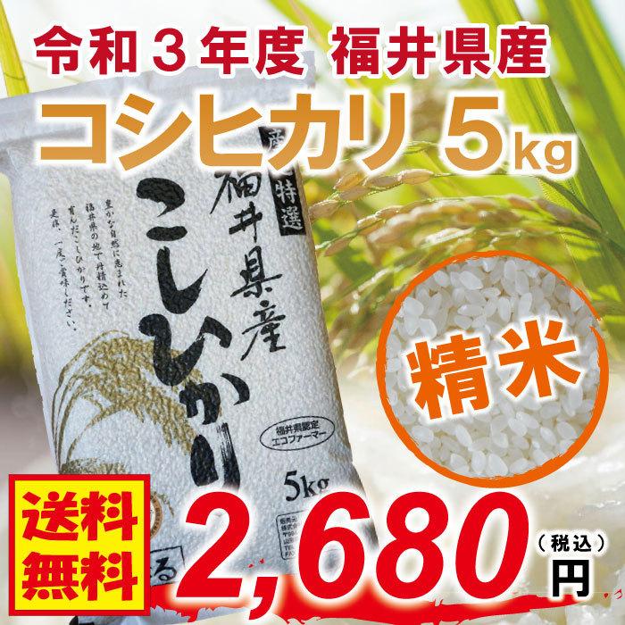 コシヒカリ 5kg 送料無料 精米 令和3年度 福井県産 特別栽培米 農薬 