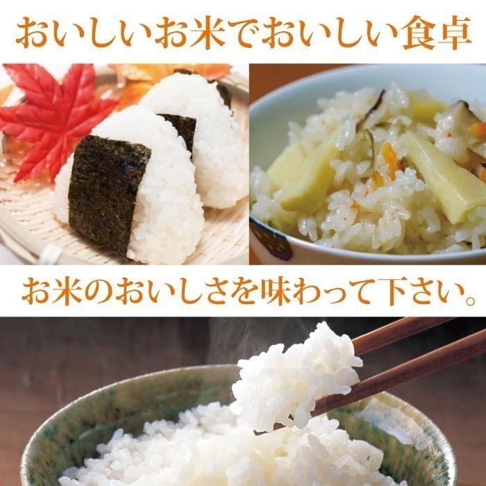 コシヒカリ 30kg 送料無料 玄米 令和7年度 福井県産 特別栽培米