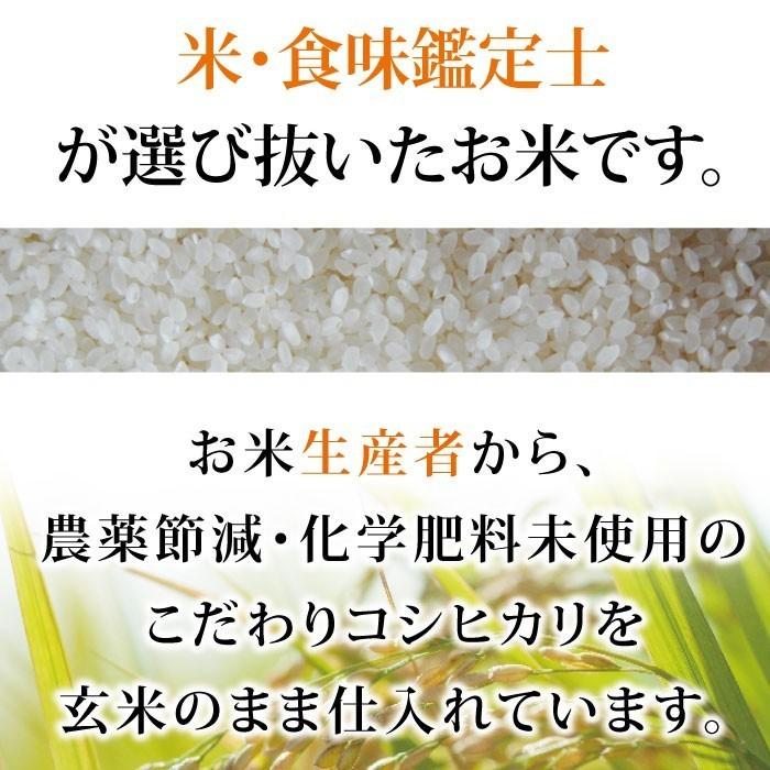 コシヒカリ 30kg 送料無料 玄米 令和7年度 福井県産 特別栽培米 農薬節減 化学肥料未使用 福井県認定エコファーマー | コシヒカリ | 05
