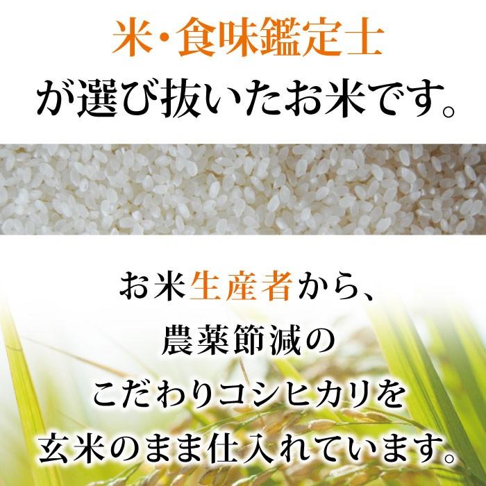 コシヒカリ 玄米 2等米 5kg 令和4年度 福井県産 農薬節減栽培 コシヒカリ 玄米 2等米 5kg 令和4年度 福井県産 農薬節減栽培