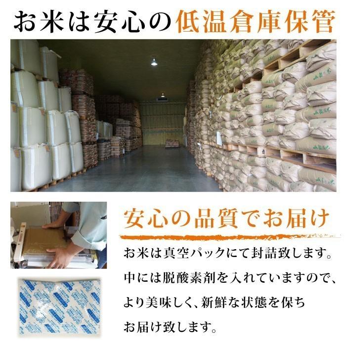 コシヒカリ 玄米 2等米 5kg 令和4年度 福井県産 農薬節減栽培 コシヒカリ 玄米 2等米 5kg 令和4年度 福井県産 農薬節減栽培
