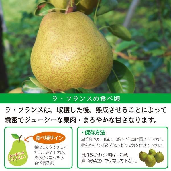 山形県 ラ・フランス 秀品 贈答用 朝日町 2L 2kg 7玉 10月下旬〜順次発送 | ブランド登録なし | 02