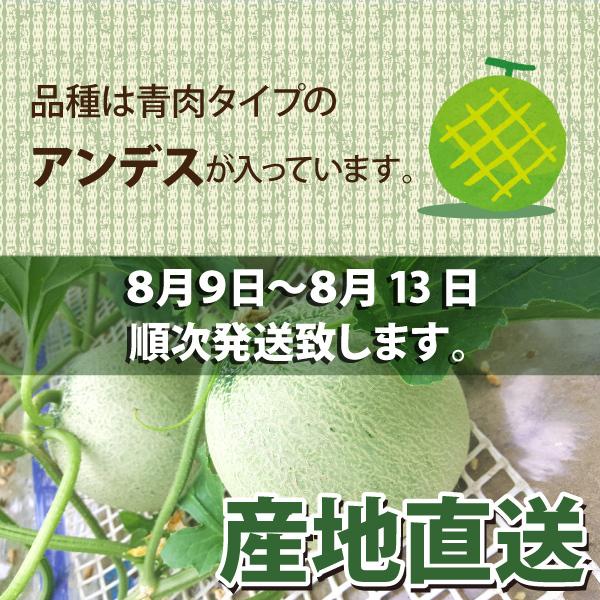 98ふぁーむのアンデスメロン 楽天市場】アンデスメロン 秀の通販