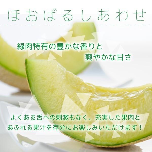 メロン アンデスメロン 秀品 約1.8kg 1玉 山形県 庄内産 浜中