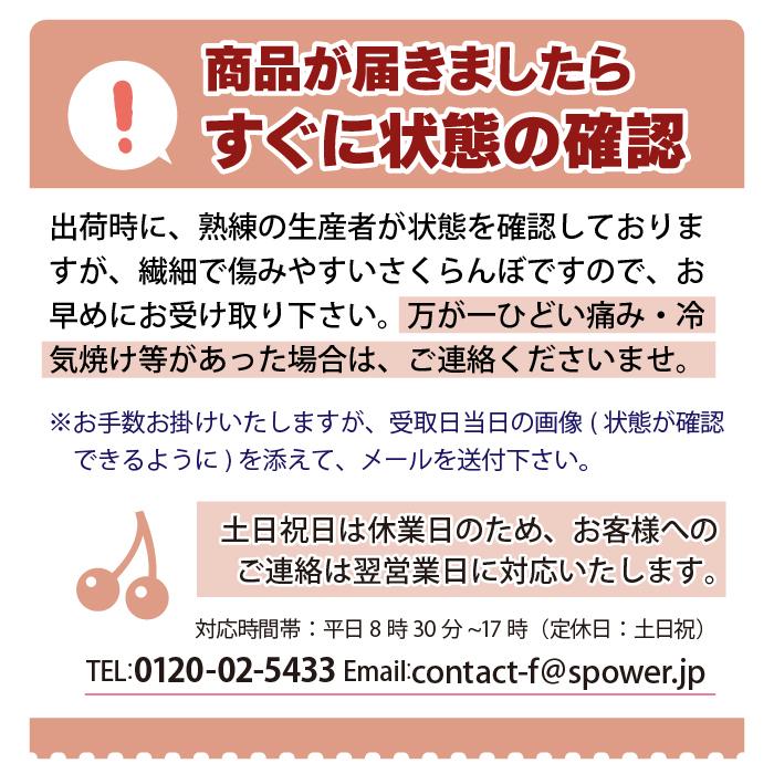 さくらんぼ 佐藤錦 秀品 Lサイズ 100g 山形県 東根市 4月下旬〜5 さくらんぼ 佐藤錦 秀品 Lサイズ 100g 山形県 東根市 4月下旬〜5