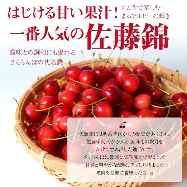 さくらんぼ 佐藤錦 秀品 Lサイズ 200g 山形県 東根市 4月下旬〜5