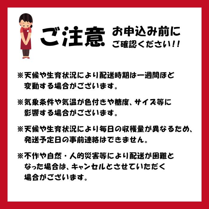 さくらんぼ 紅秀峰 訳あり バラ詰め Mサイズ 1kg 山形県 東根市 6月下旬〜7月上旬 順次発送｜orgale｜06