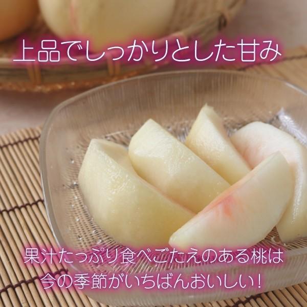 白桃 もも 秀品 3kg 12〜15玉 クール便 品種おまかせ 山形県 東根市産  8月上旬〜9月中旬 順次発送｜orgale｜02