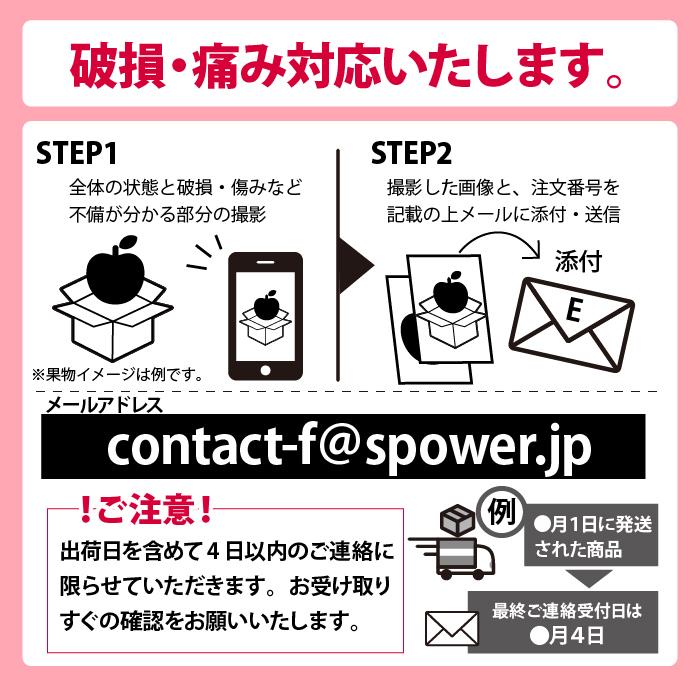 白桃 もも 秀品 3kg 12〜15玉 クール便 品種おまかせ 山形県 東根市産  8月上旬〜9月中旬 順次発送｜orgale｜09