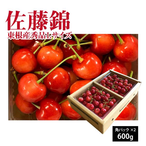 さくらんぼ 佐藤錦 秀品 Lサイズ 600g 山形県 東根市産 6月中旬〜6月