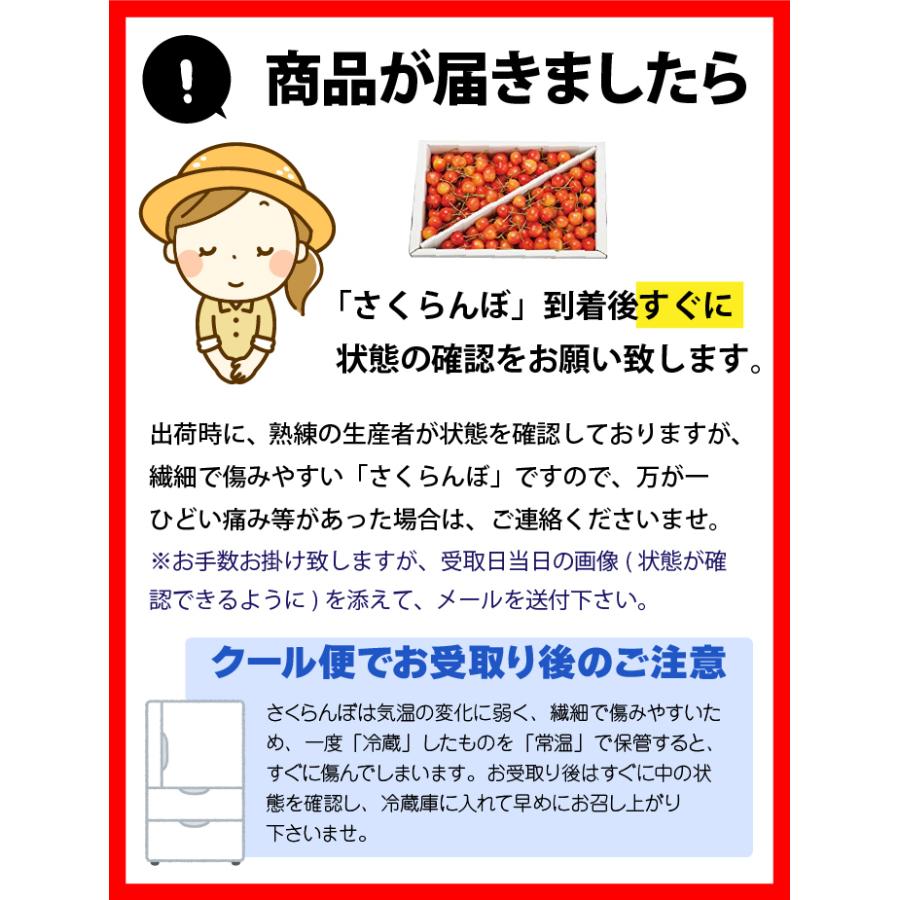 さくらんぼ 佐藤錦 秀品 2L以上 大玉 600g 山形県 東根市産 6月中旬〜6月下旬 順次発送｜orgale｜06