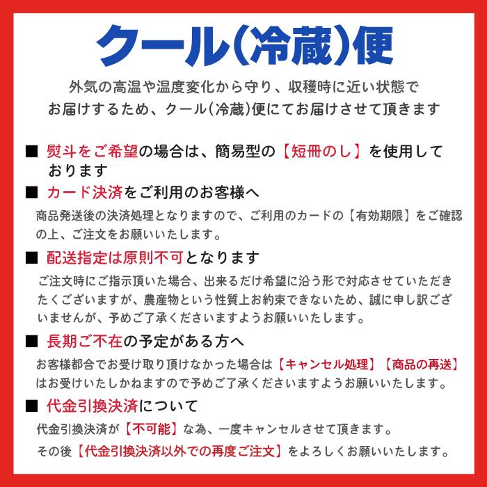 さくらんぼ 佐藤錦 訳あり バラ詰め Mクラス以上 1kg×2箱 山形県 東根市産 6月中旬〜6月下旬 順次発送｜orgale｜05