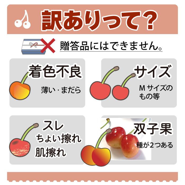 農家応援・食べ納め応援】さくらんぼ 佐藤錦 山形県東根市産 2kg(1kg×2