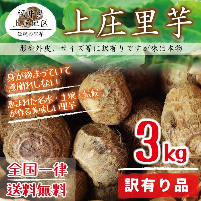 上庄里芋 訳有り 形がいびつ 外皮に傷 サイズが小さい等 3kg 送料無料 福井県産 Sato 002 おがる 通販 Yahoo ショッピング