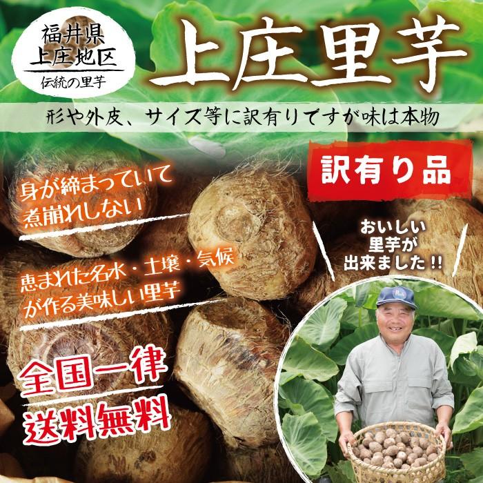上庄里芋 訳有り 形がいびつ 外皮に傷 サイズが小さい等 3kg 送料無料 福井県産 Sato 002 おがる 通販 Yahoo ショッピング