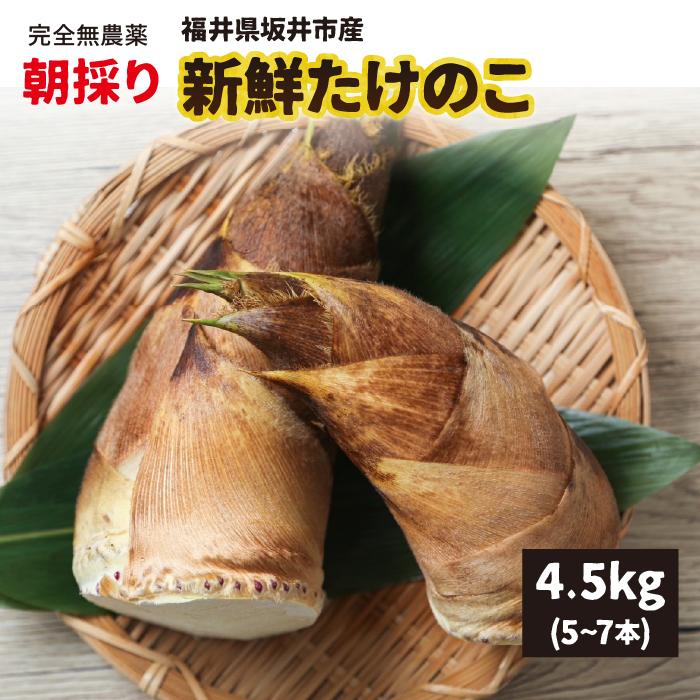 新鮮タケノコ 10キロ米ぬか付き4月2日発送！！ 新鮮タケノコ 10キロ米ぬか付き4月6日発送！！ 【公式通販】