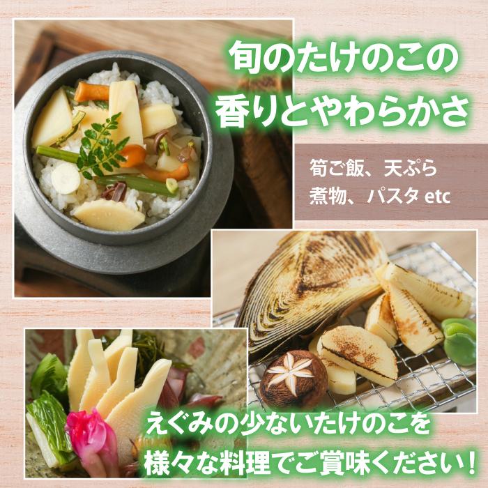 新鮮タケノコ 10キロ米ぬか付き4月2日発送！！ 新鮮タケノコ 10キロ米ぬか付き4月6日発送！！ 【公式通販】
