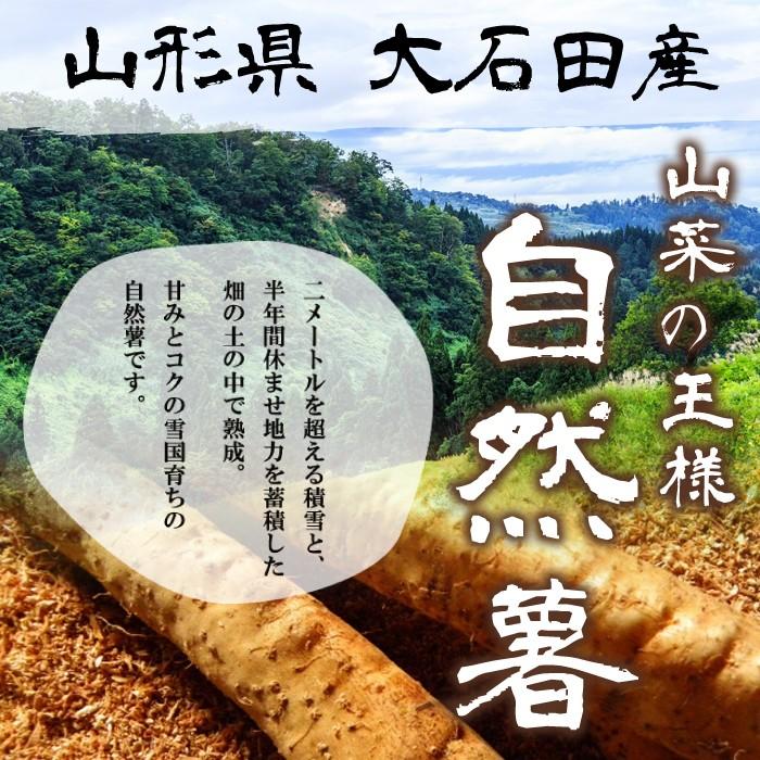 自然薯 1kg 山形県 大石田町 送料無料 甘みとコク 入手困難 クール便