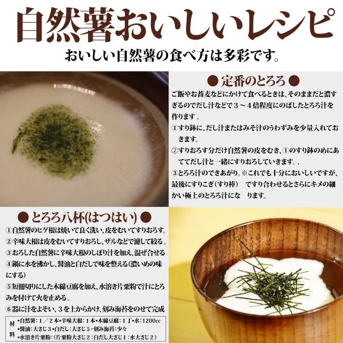 自然薯 1kg 山形県 大石田町 送料無料 甘みとコク 入手困難 : おがる