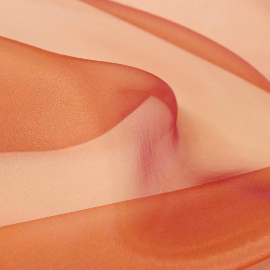 2040CBS シャンブレーオーガンザ | 