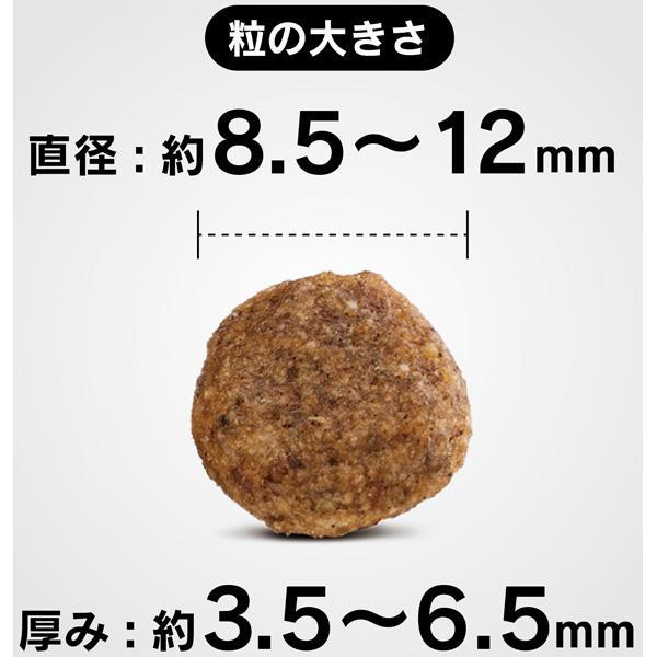 HAPPY DOG ミニセンシブル ミニ ニュージーランドラム＆ライス4kg ハッピードッグ HAPPY DOG ミニセンシブル ミニ