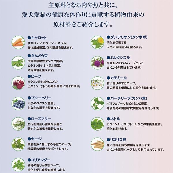 ハッピードッグ HAPPY DOG ヤング センシブル ジュニア サーモン