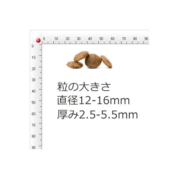 HAPPY DOG VETストルバイト 4kg ハッピードッグ HAPPY DOG VET ストルバイト (尿石ケア食事療法食) 4kg