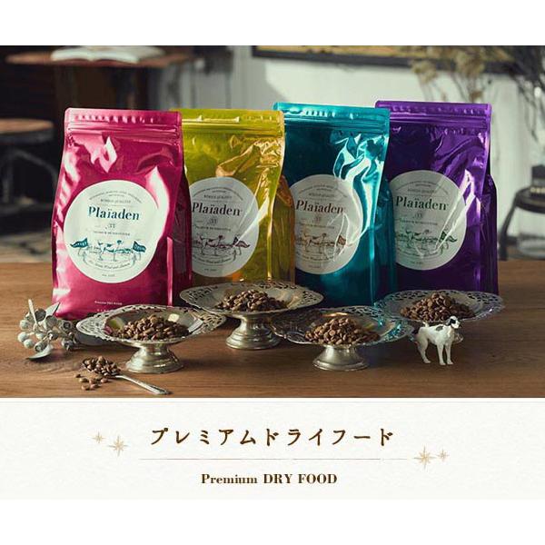 プレイアーデン プレミアムドライフード プレミアムケア 1kg