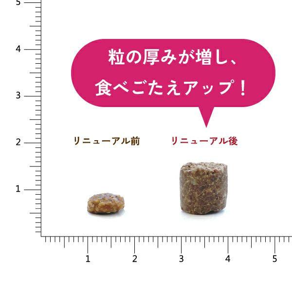 プレイアーデン プレミアムドライフード プレミアムケア 1kg