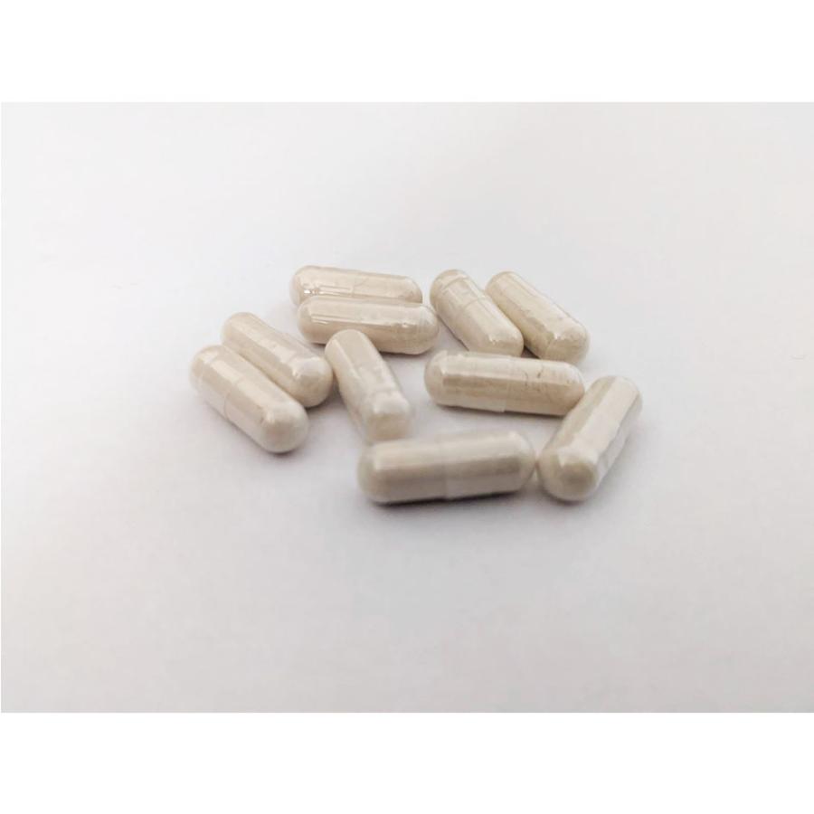 NU SCIENCE ニューサイエンス 亜鉛 サプリ サプリメント 無添加 子供