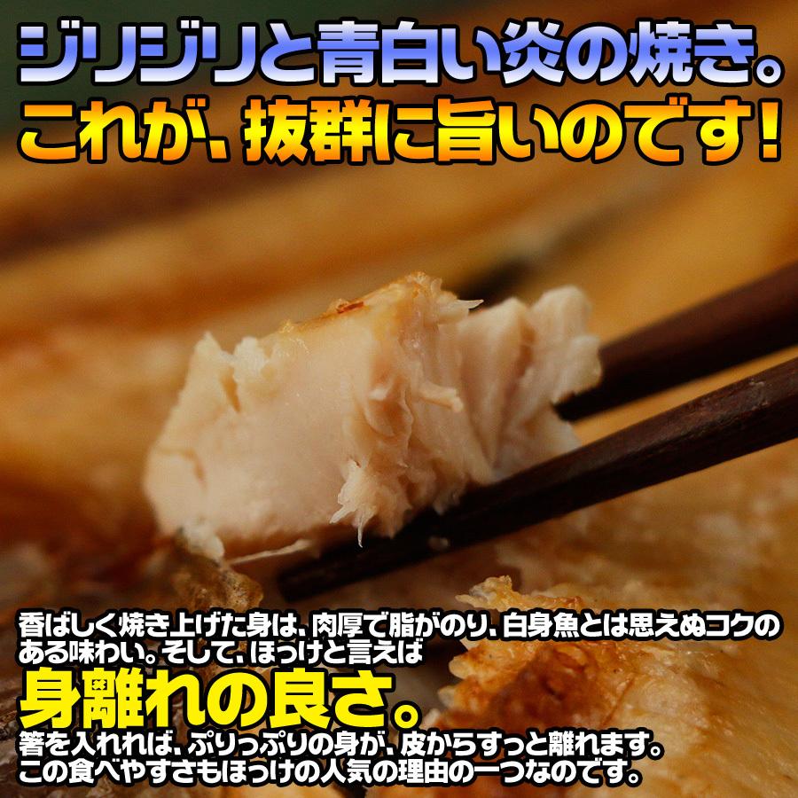 送料無料 干物 ホッケ ほっけ 干物 約1kg 5枚以上 訳あり わけあり ワケアリ 特大 肉厚 ギフト 1040 1010 Qwish 通販 Yahoo ショッピング