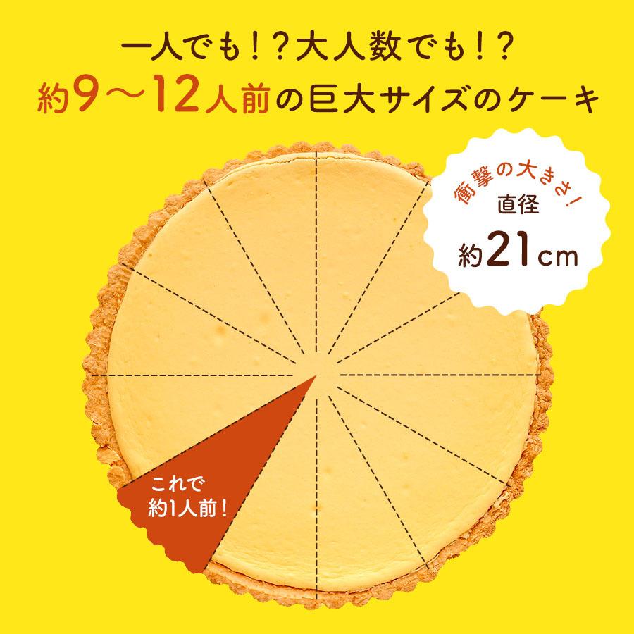 アウトレット 賞味期限 21 9 26 チーズケーキ チーズタルト ホール ベイクド 7号 送料無料 取り寄せ ケーキ タルト スイーツ ギフト プレゼント 誕生日 Ocy3444 Qwish 通販 Yahoo ショッピング