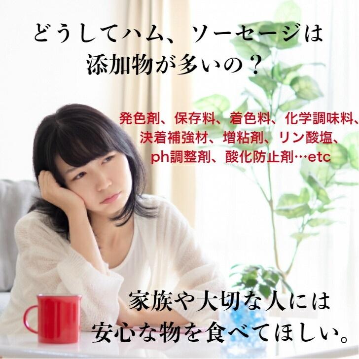 無添加ソーセージ 定番 プレーン p-10 冷凍80g 10個 無添加 中山道ハム 手作り 自宅用  食べきりサイズ |  | 01