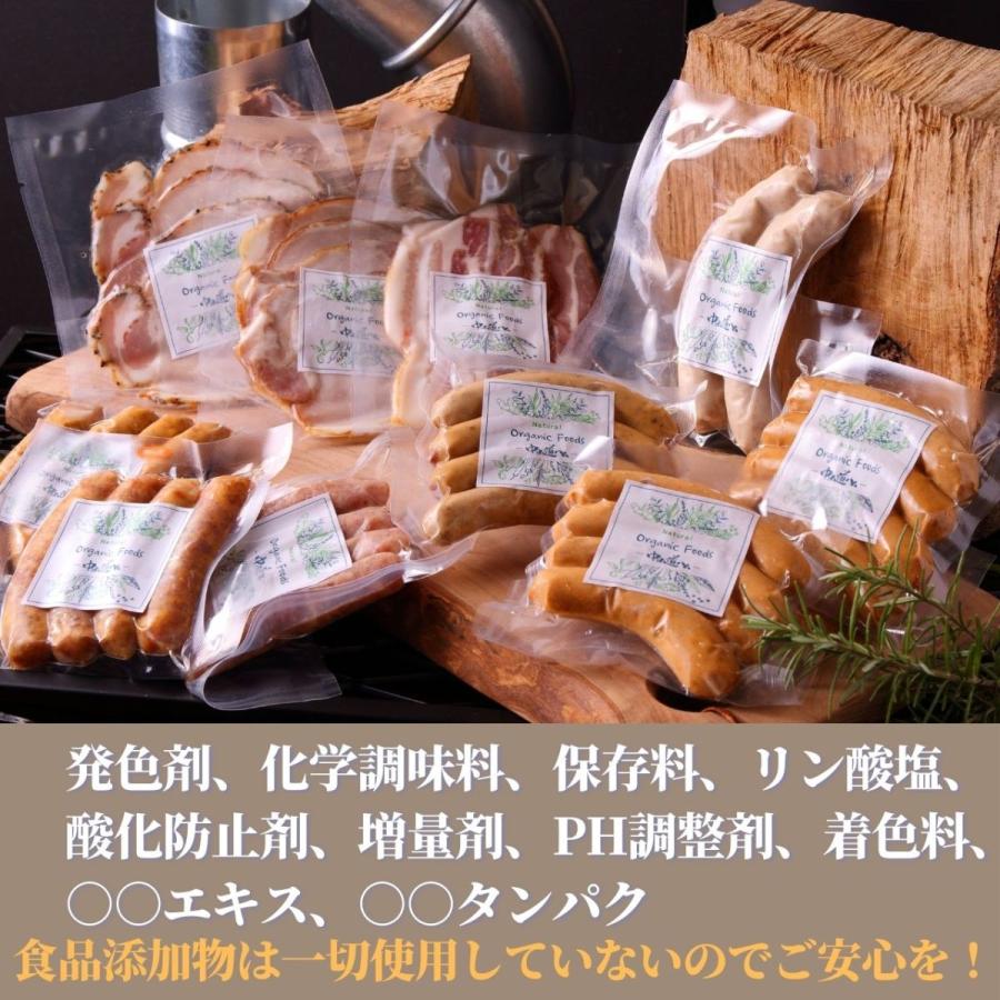 お取り寄せ ソーセージセット プレーン チーズ p5t5 詰め合わせ 冷凍80g 各5個 無添加 中山道ハム BBQ アウトドア |  | 01