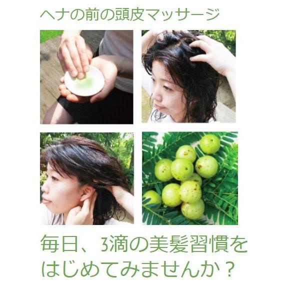 日本郵便 発送 ⇒ 日祝発送×】アムラオイル 150ml | スカルプ 日本郵便 発送 ⇒ 日祝発送×】アムラオイル 150ml | スカルプ