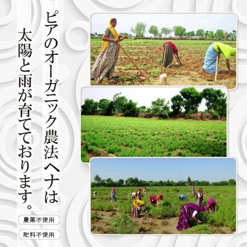 日本郵便 発送 ⇒ 日祝発送× | かの子のハーバル ヘナ 25番 100g 無料