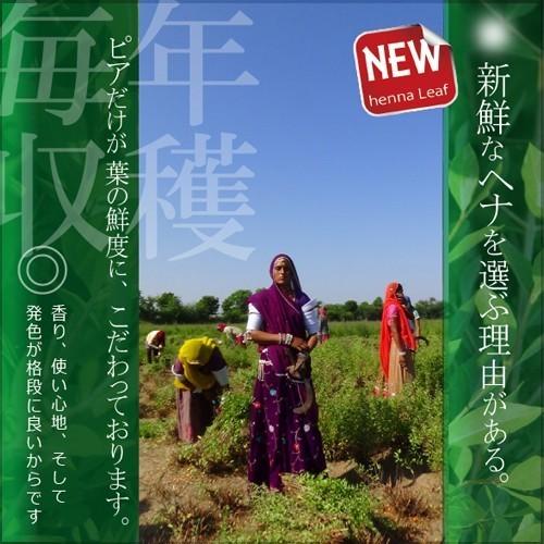 日本郵便 発送 ⇒ 日祝発送× | かの子のハーバル ヘナ 25番 200g 無料