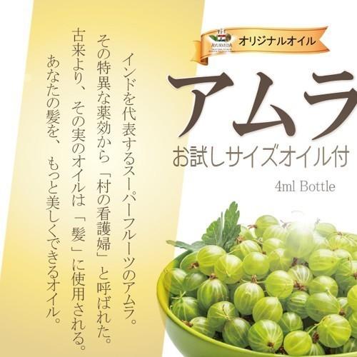 日本郵便 発送 ⇒ 日祝発送× | 白髪染めセット 無料ハケセット付