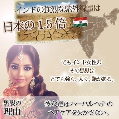 かの子のハーバルヘナ38 100g×3袋 日本郵便 発送 ⇒ 日祝発送× | かの子のハーバル ヘナ 38番 100g