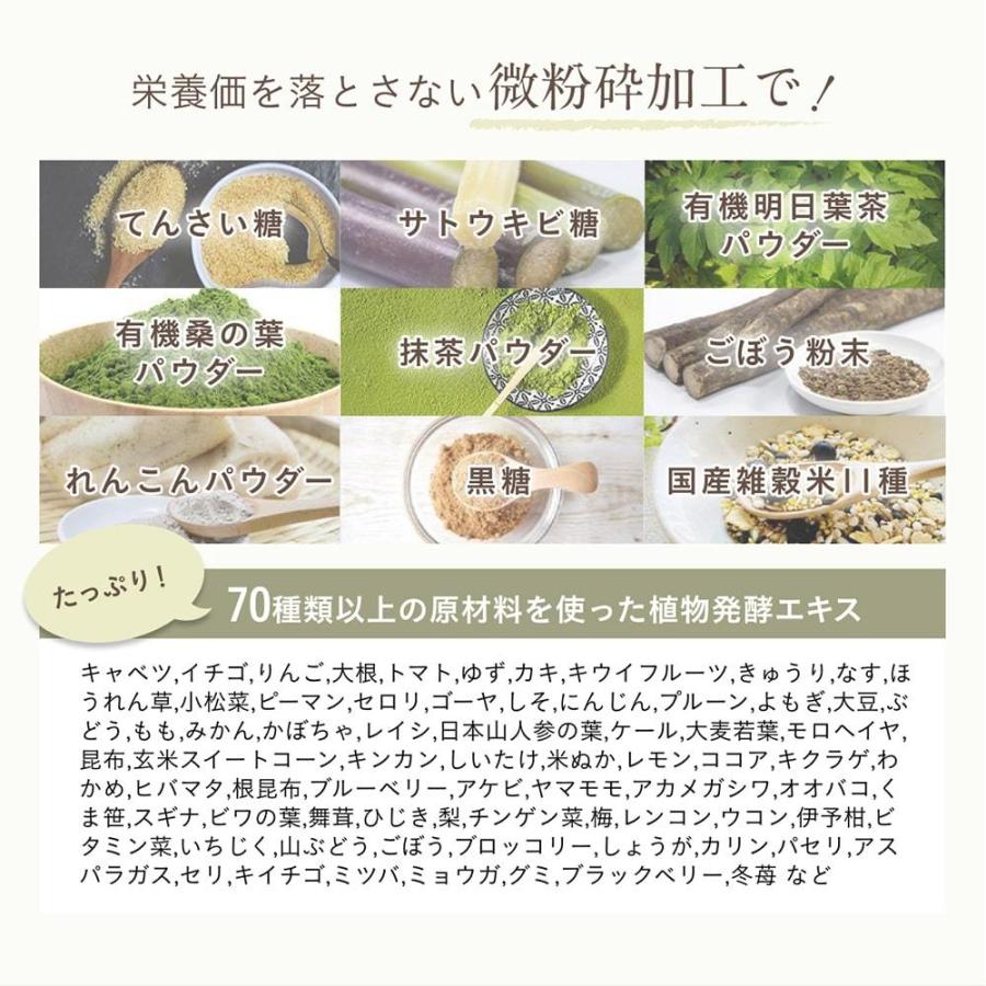 ソイプロテイン 黒糖抹茶味 250g 国産 無添加 プロテイン 完全食 タンパク質 スーパーフード 人工甘味料不使用 40代 50代 大地のめぐみ素美人 | Orga Life | 11