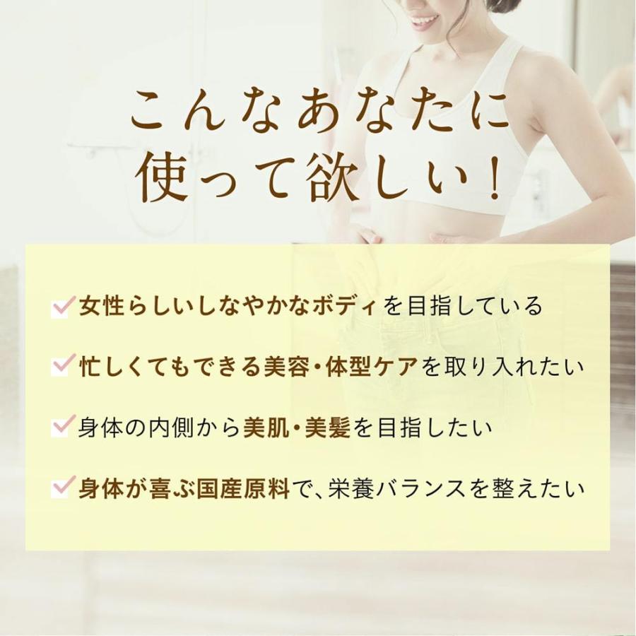 ソイプロテイン 黒糖抹茶味 500g 国産 無添加  プロテイン 完全食 タンパク質 抹茶 スーパーフード 人工甘味料不使用 40代 50代 大地のめぐみ素美人 | Orga Life | 02